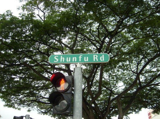 Shunfu Road #72972